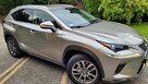 Lexus NX 300h, 1 właściciel, bezwypadkowy, kupiony w salonie - 2