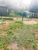Odsprzedam działkę z domkiem holenderskim całoroczny dzierża - 6