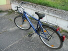 Rower Shimano 18 Gong - 8