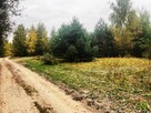 Działki budowlane - Bracice Drwalewskie Chynów - 4