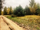 Działki budowlane - Bracice Drwalewskie Chynów - 3