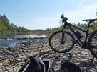 Pan szuka pani. - 2