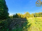 Działka rolno-budowlana Trzemesna gm. Tuchów - 9