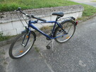 Rower Shimano 18 Gong - 7