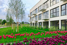 apartament nad morzem - 2