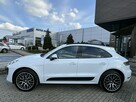 Porsche Macan 2.0 245KM  A/T SportDesign-OdDealera - 2