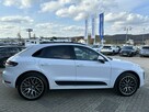 Porsche Macan 2.0 245KM  A/T SportDesign-OdDealera - 7