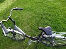Rower damka Van Speijk 28 Alu Nexus - 6