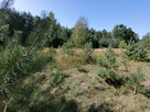 Działka budowlana Marianów gm. Leszno, - 3