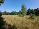Działka budowlana Marianów gm. Leszno, - 4