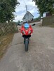 Aprilia rs 125 2t a1/b - 4