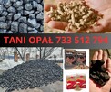 Tani węgiel kamienny pellet i inne - 3