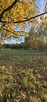 Działka bud.; 1286M2; WZ; LIPA - 2