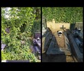 Całoroczne sprzątanie grobów / nagrobków Łódź i okolice - 3