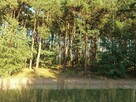 Sprzedam działkę budowlaną- Kościelec, gmina Mycielin - 1