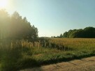 Sprzedam działkę budowlaną- Kościelec, gmina Mycielin - 2
