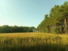 Sprzedam działkę budowlaną- Kościelec, gmina Mycielin - 3