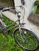 Rower damka Jaguar de Lux - 2