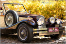 SPRZEDAM Nestor Baron Replika Alfa Romeo - 5