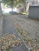 Usługi sprzątania , czyszczenia piwnic komórek lokatorskich - 2