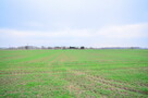 Działka Gorzów wielkopolski Zakanale - 4