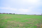 Działka Gorzów wielkopolski Zakanale - 5