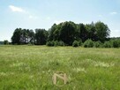 Działka łośno - 4