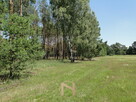 Działka łośno - 8