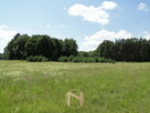 Działka łośno - 11
