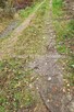 Działka budowlana Jaktorów Chylice - 5