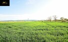Działka rolna Lutomia Dolna gm. Świdnica - 5