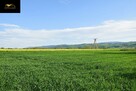 Działka rolna Lutomia Dolna gm. Świdnica - 6