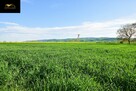 Działka rolna Lutomia Dolna gm. Świdnica - 7
