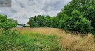 Działka rolna Pieszyce - 2