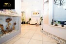 Lokal użytkowy Świdnica, al. Niepodległości - 7