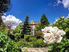 Lokal użytkowy Świdnica - 15