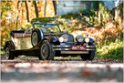 SPRZEDAM Nestor Baron Replika Alfa Romeo - 9