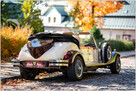 SPRZEDAM Nestor Baron Replika Alfa Romeo - 6
