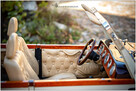 Do Sprzedania Kabriolet Alfa Romeo z 1930 - 8