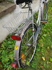 Rower damka Jaguar de Lux - 3