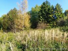 Dębica, ul. Wielopolska - kompleks 4 działek na sprzedaż - 7