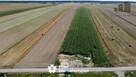 Działka inwestycyjna Wilczopole-Kolonia gm. Głusk, - 4