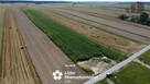Działka inwestycyjna Wilczopole-Kolonia gm. Głusk, - 3