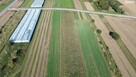Działka budowlana Nałęczów - 5