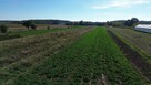 Działka budowlana Nałęczów - 7