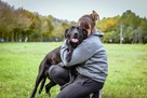 Laba-duża czarna młoda suczka do adopcji - 2