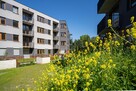 Nowe Mieszkanie 4-pokojowe od Dewelopera - Katowice - 2