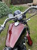 Kawasaki en500 - 2