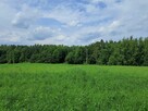 Bajecznie usytuowane siedlisko pod Bychawą - 12