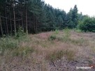 Działka w Kuklówce z Pozwoleniem na Budowę! - 5